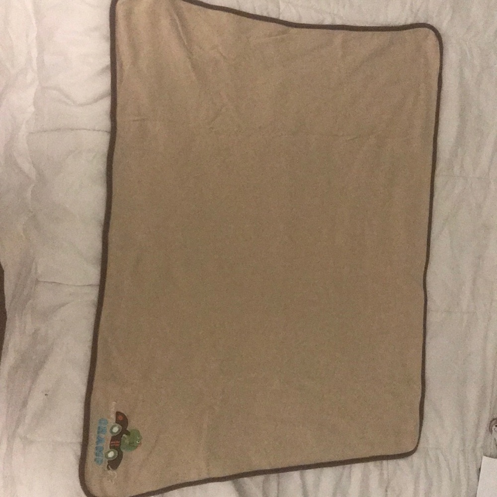 Baby blanket dinosaur themed mommy’s champ!